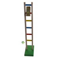Jeu Echelle vert
